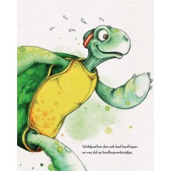 Hoe Schildpad aan zijn schild komt- Kristel Steenbergen